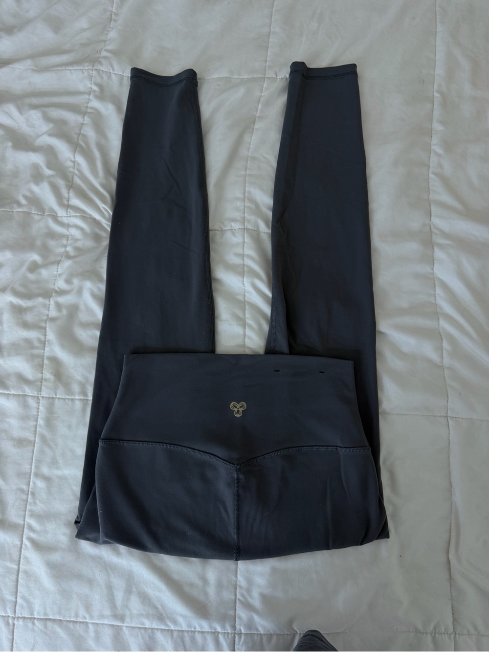 Aritzia Golden Cheeky Legging High Rise NWOT Size 6 $78 Retail